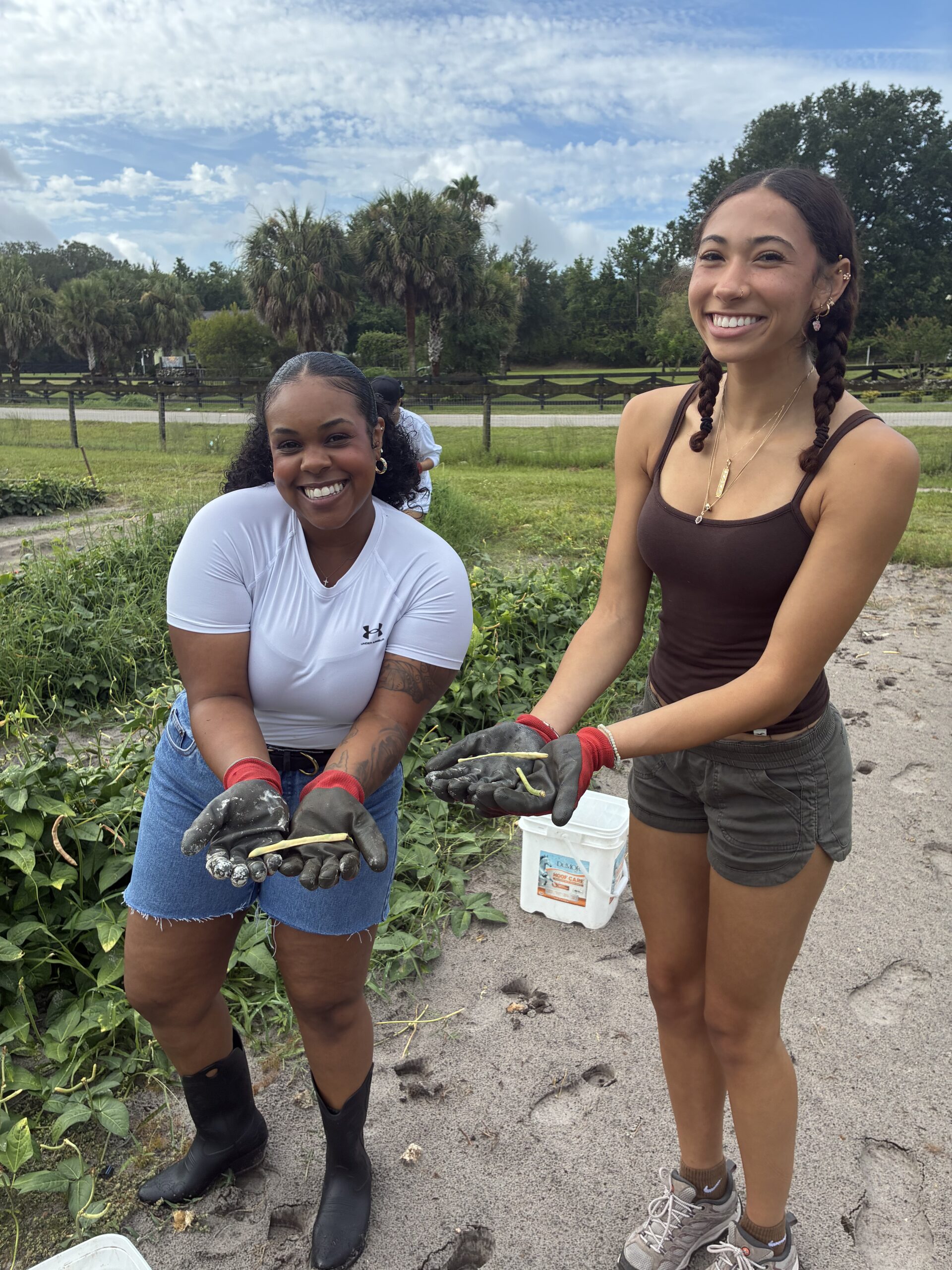 Volunteers helping in The Children's Table teaching garden