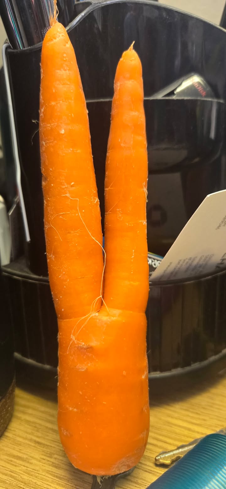 The Children's Table