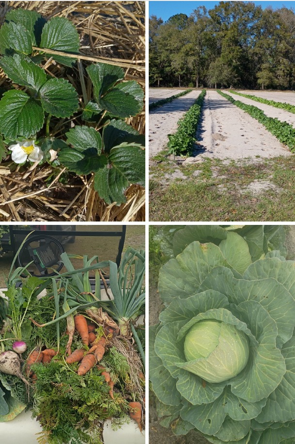 The Children's Table