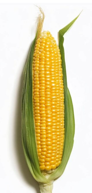 The Children's Table