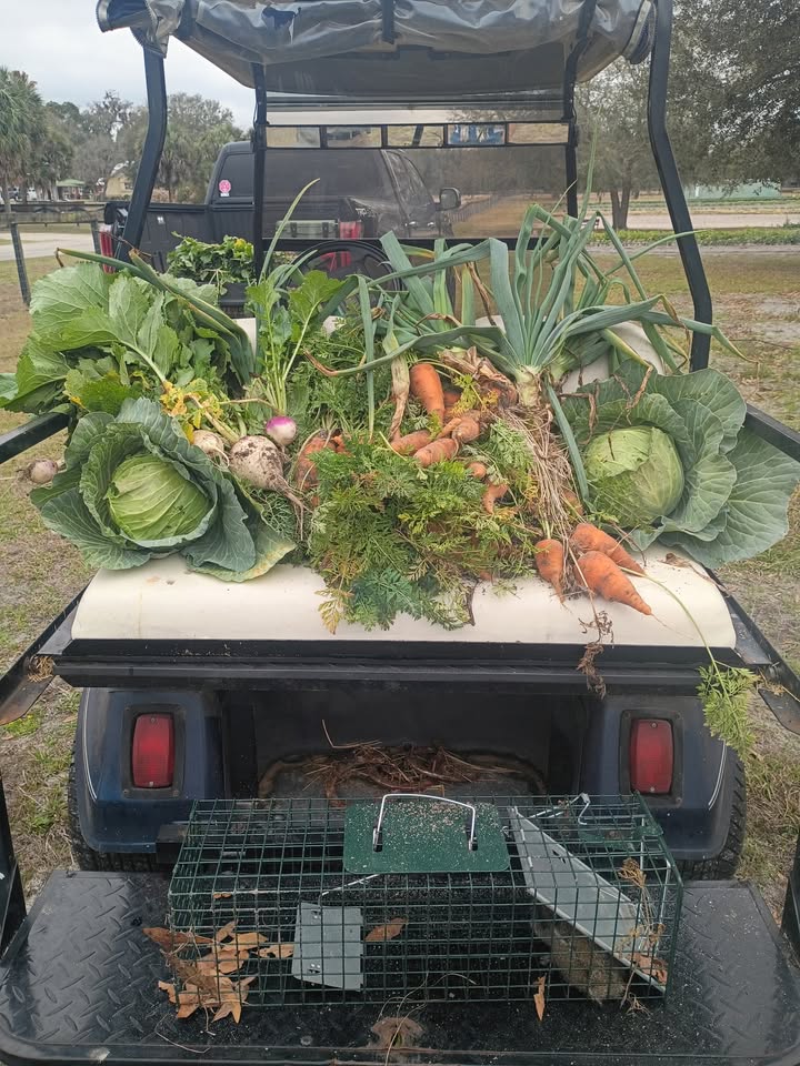 The Children's Table