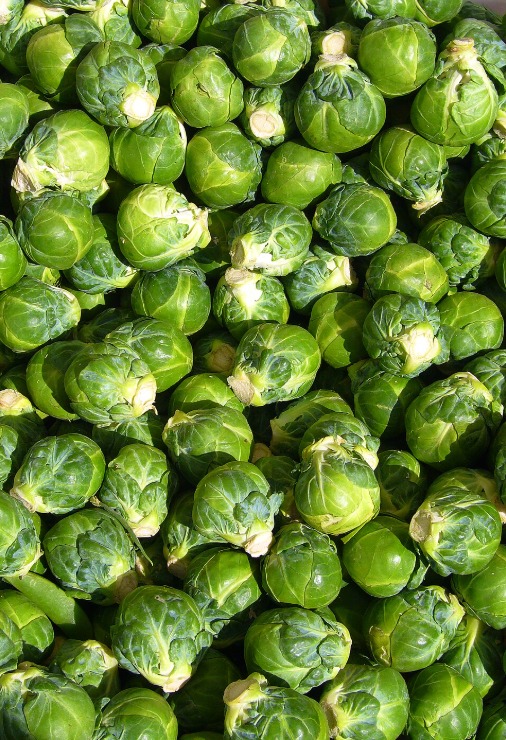 The Children's Table