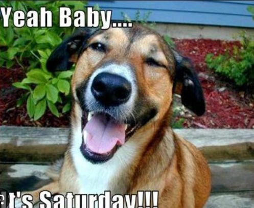 The Children's Table